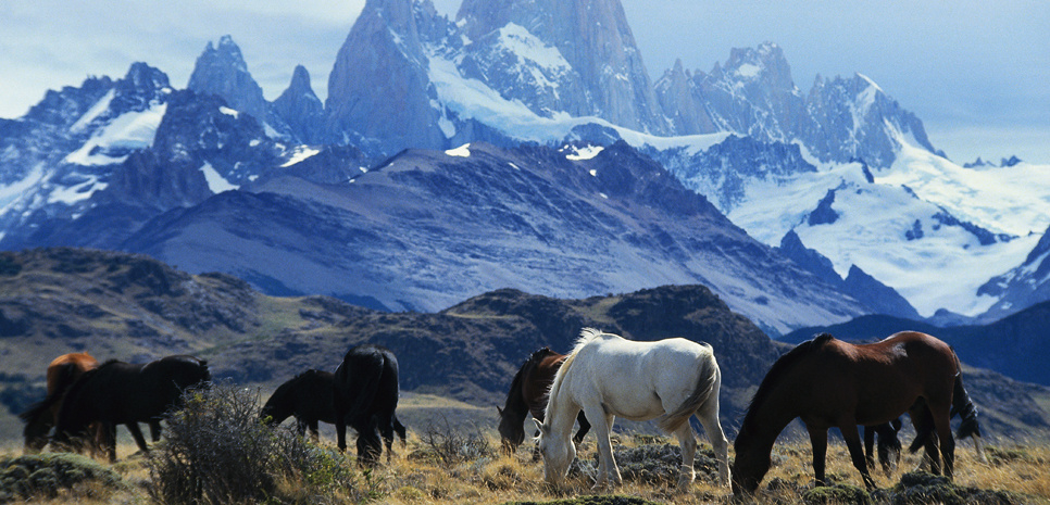 /schnipsel/201609-september-2016/20160923-don-t-cry-for-me-argentina-18-p-a/3 la_pampa_argentina_2557_966x.jpg
